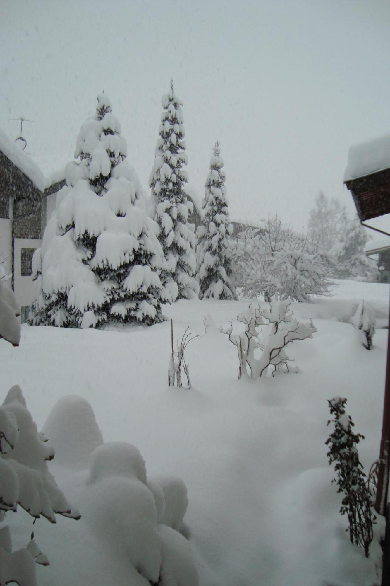 Landhaus Bachler Brixen im Thale Extérieur photo