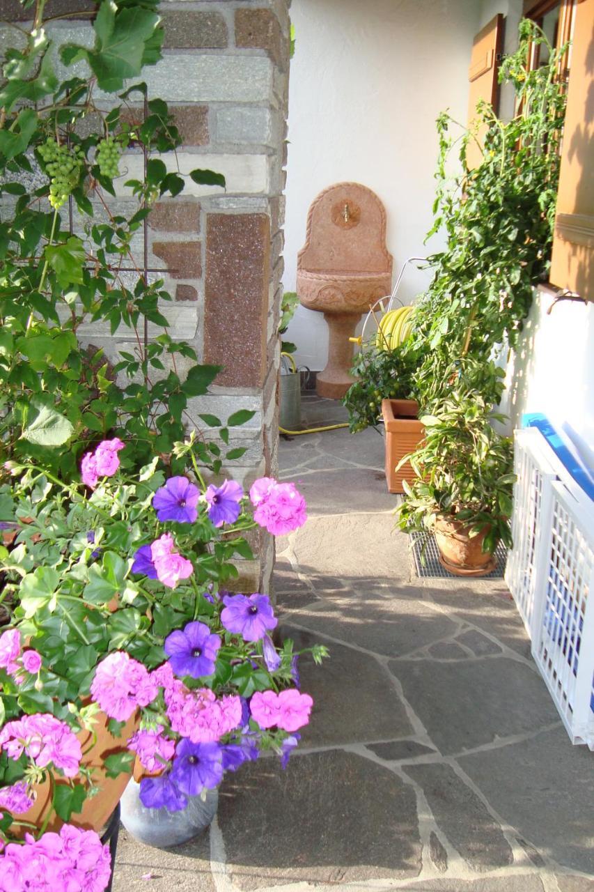 Landhaus Bachler Brixen im Thale Extérieur photo